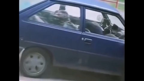 Ona proba novu velicinu penisa